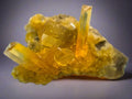 Wulfenite crystal specimen from Arizona, vibrant yellow mineral on matrix, collectible geological specimen