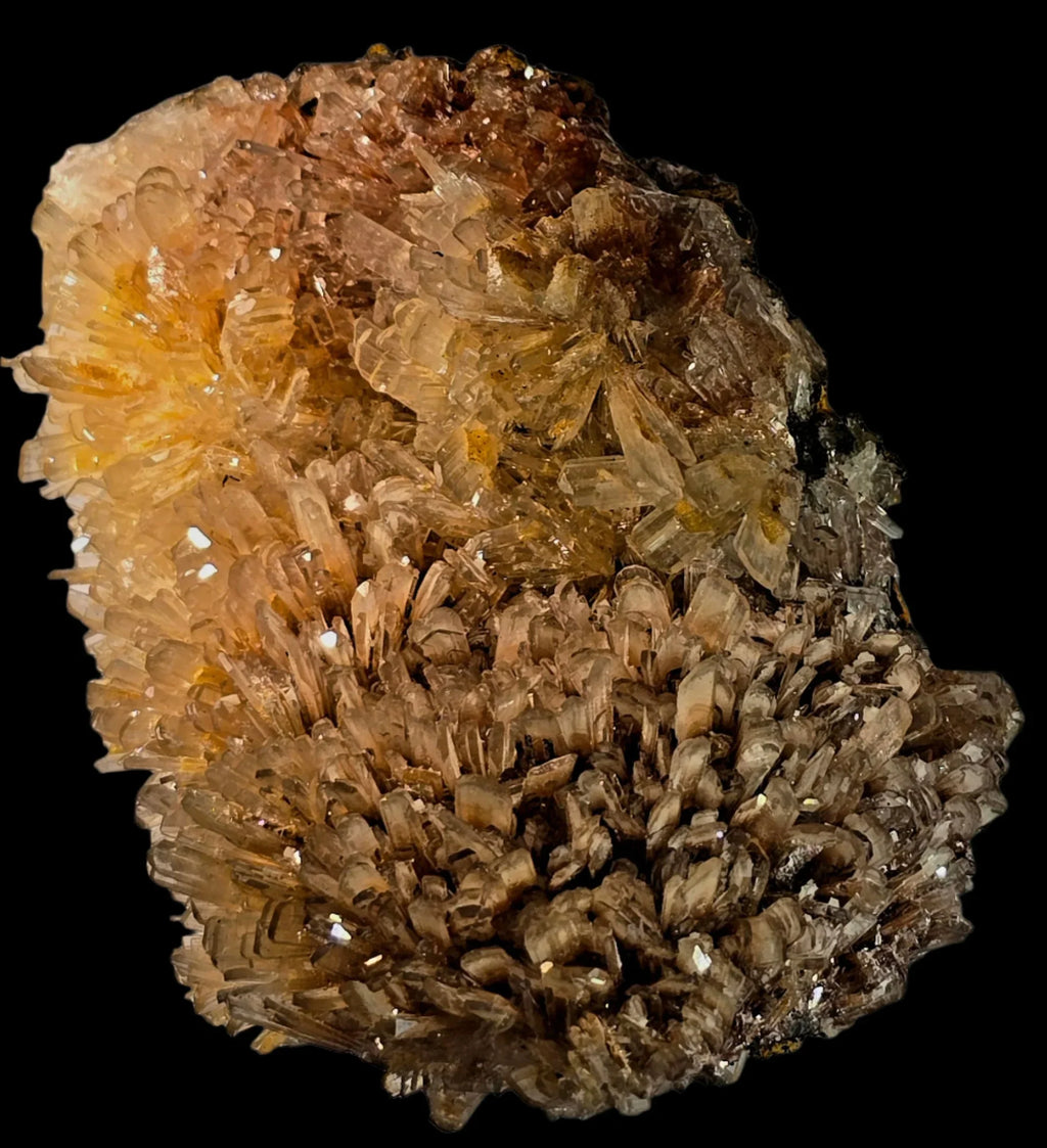 Aragonite crystal cluster from Spain, showcasing golden-brown, radiating formations against a black background.