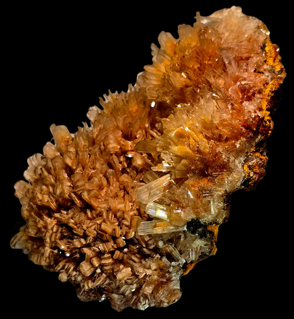 Aragonite crystal cluster from Spain, featuring golden-brown, radiating formations on dark matrix, ideal for mineral collectors.