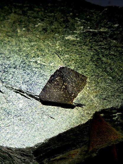 MAGNETITE