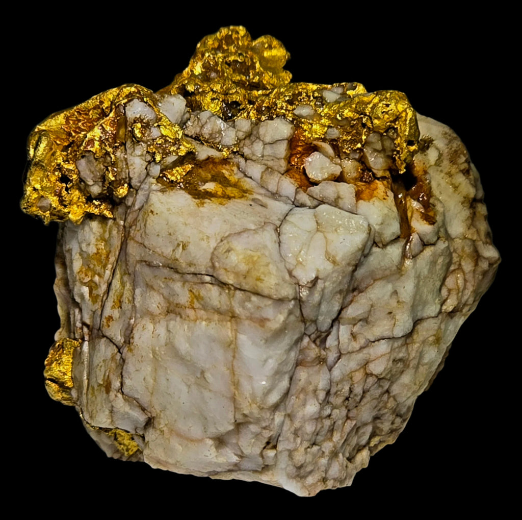GOLD in QUARTZ (28.65 grams of gold) (small cabinet)