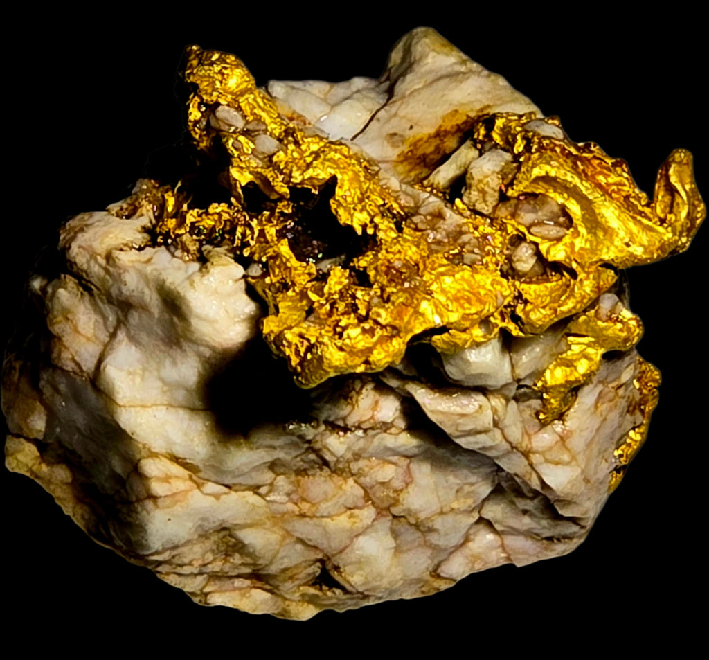 GOLD in QUARTZ (28.65 grams of gold) (small cabinet)