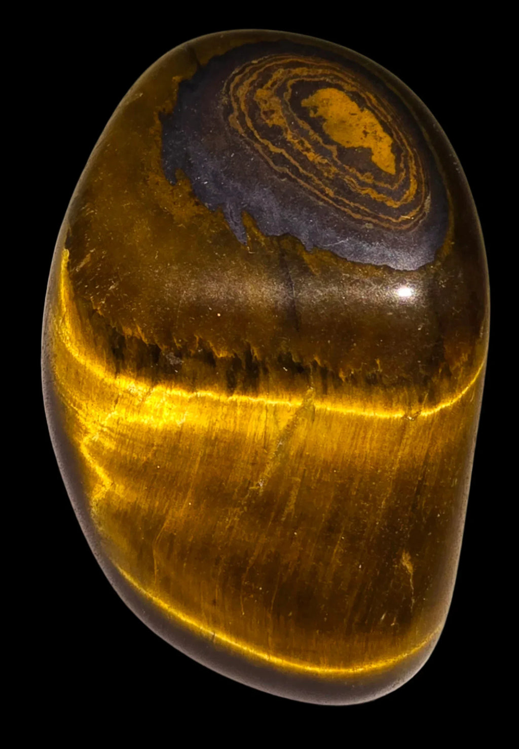 Tiger's Eye polished cabochon with golden chatoyancy and dark banding, ideal for collectors and jewelry