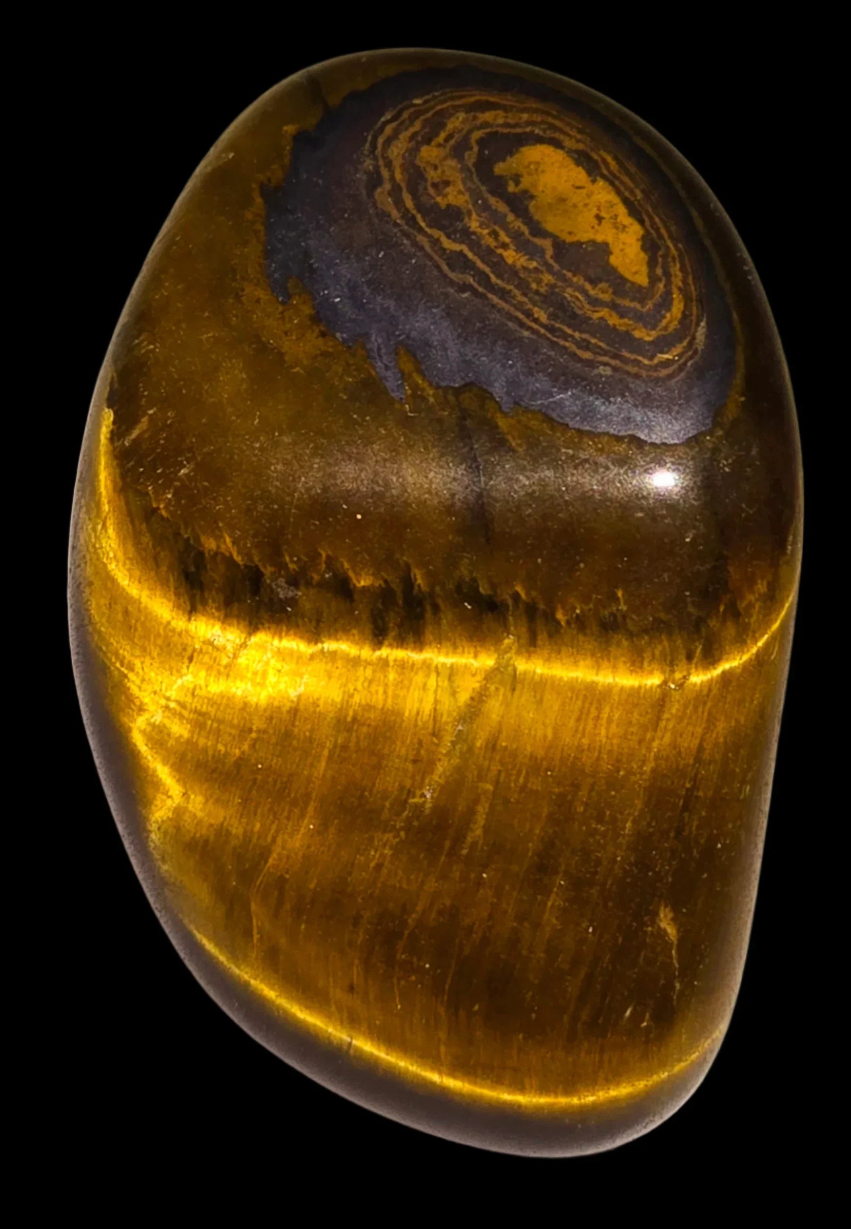 Tiger's Eye polished cabochon with golden chatoyancy and dark banding, ideal for collectors and jewelry