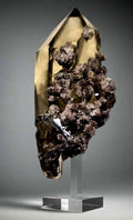 Citrine crystal with smoky quartz clusters, Brazil specimen on acrylic stand