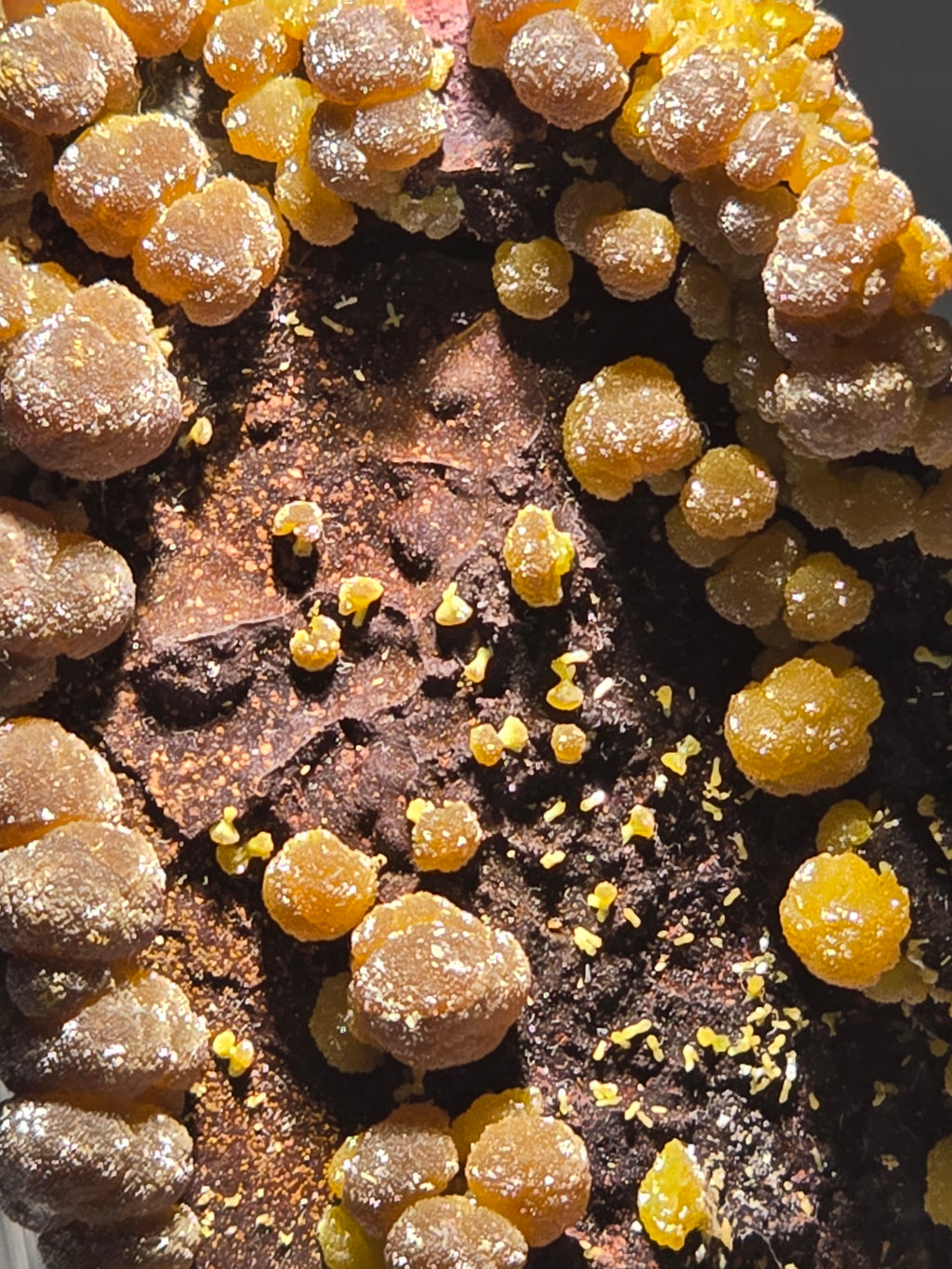 MIMETITE (small cabinet)