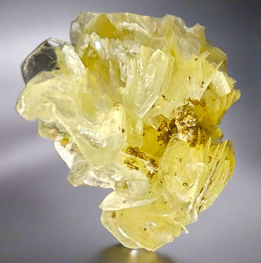 RUIFRANCOITE on MUSCOVITE (thumbnail)