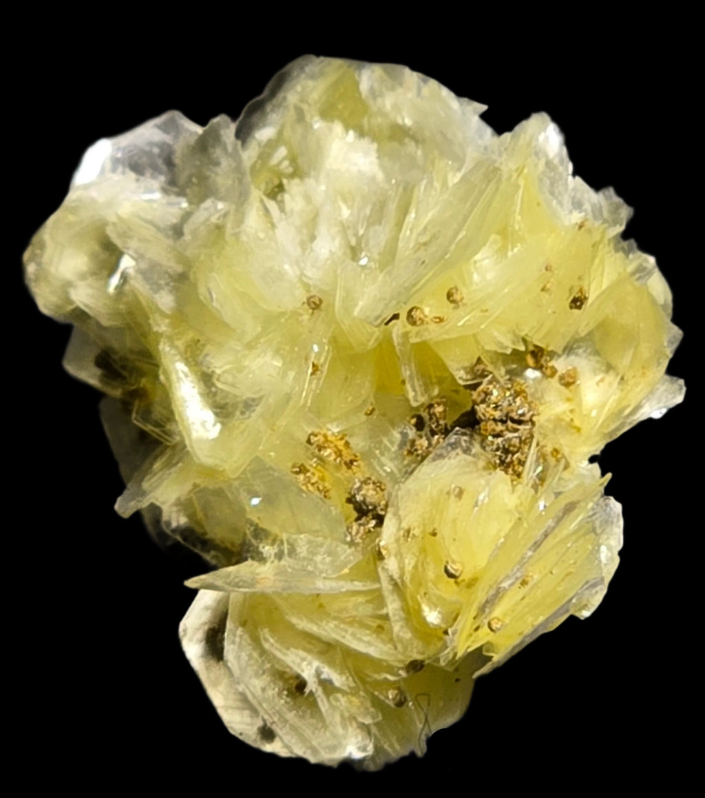 RUIFRANCOITE on MUSCOVITE (thumbnail)