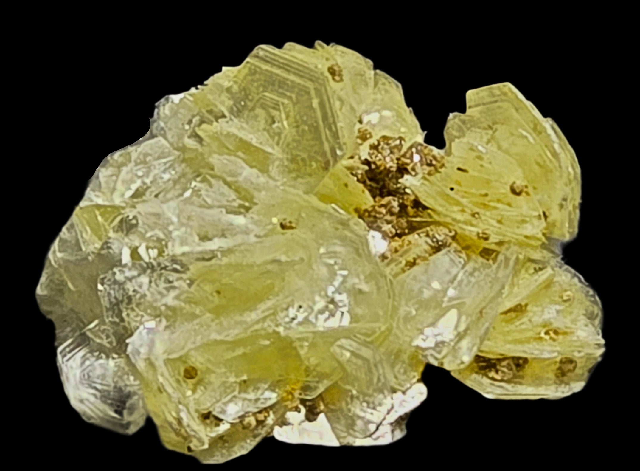 RUIFRANCOITE on MUSCOVITE (thumbnail)