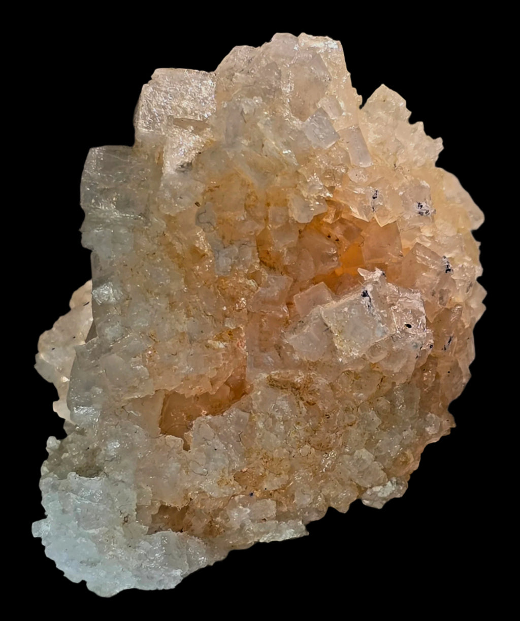 HALITE (small cabinet)