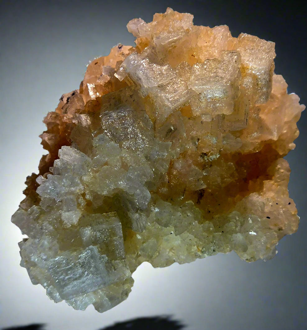 HALITE (small cabinet)