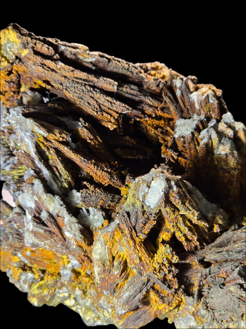 GOETHITE and CALCITE (cabinet)
