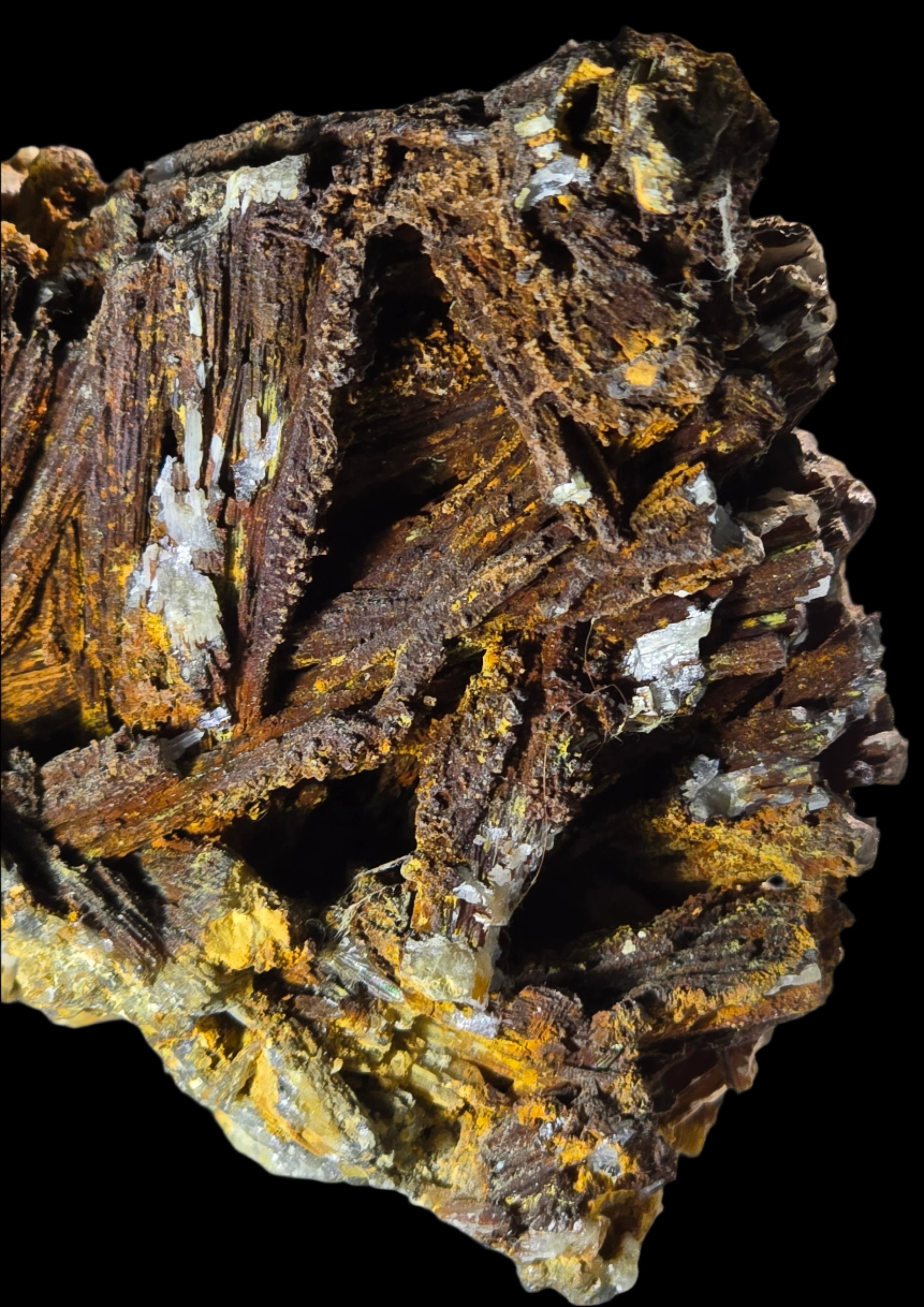 GOETHITE and CALCITE (cabinet)