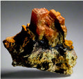 RHODOCHROSITE, MONT SAINT HILAIRE, QUEBEC, CANADA (small cabinet)
