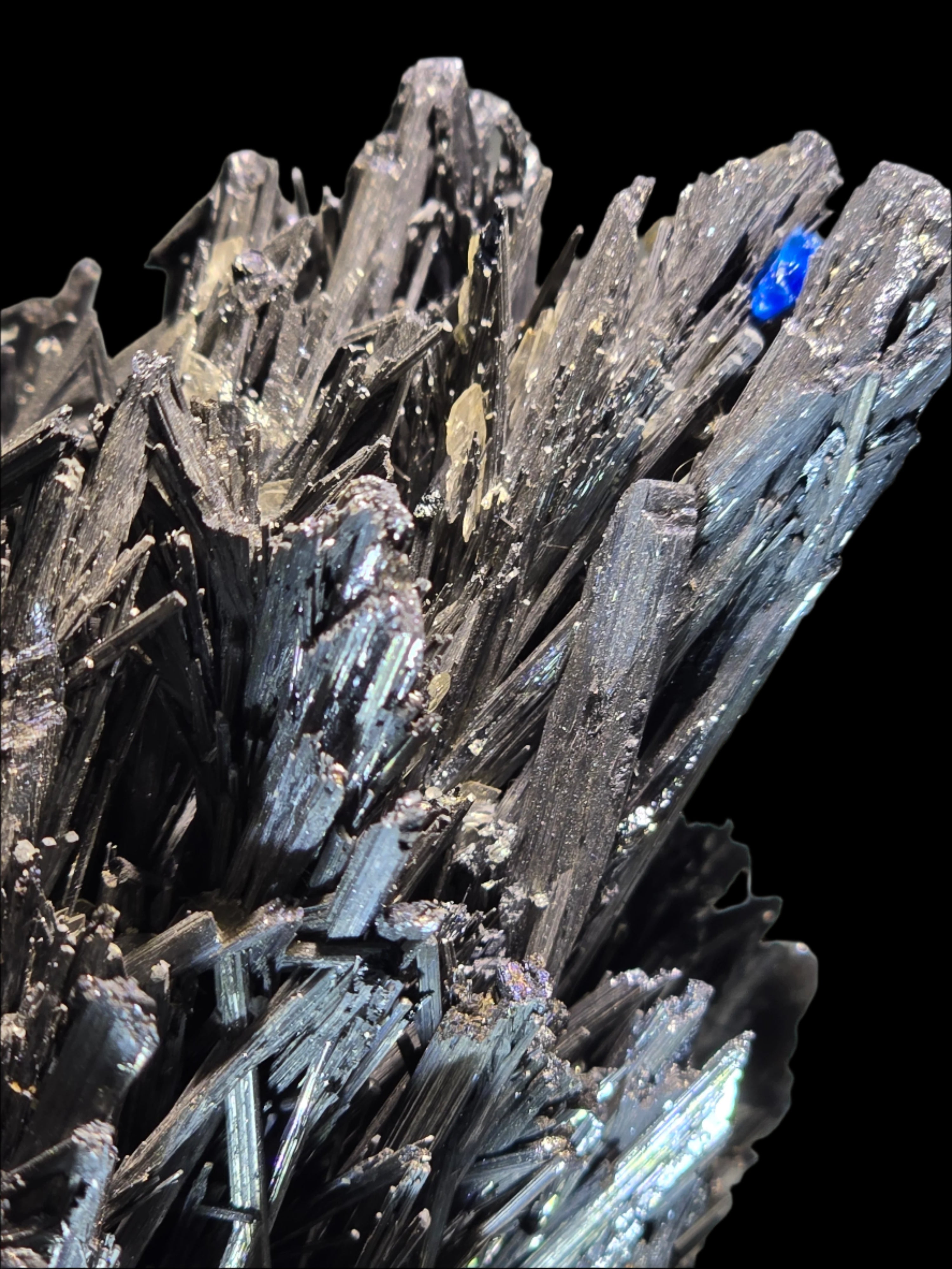 ANTIMONITE-STIBNITE (large cabinet)