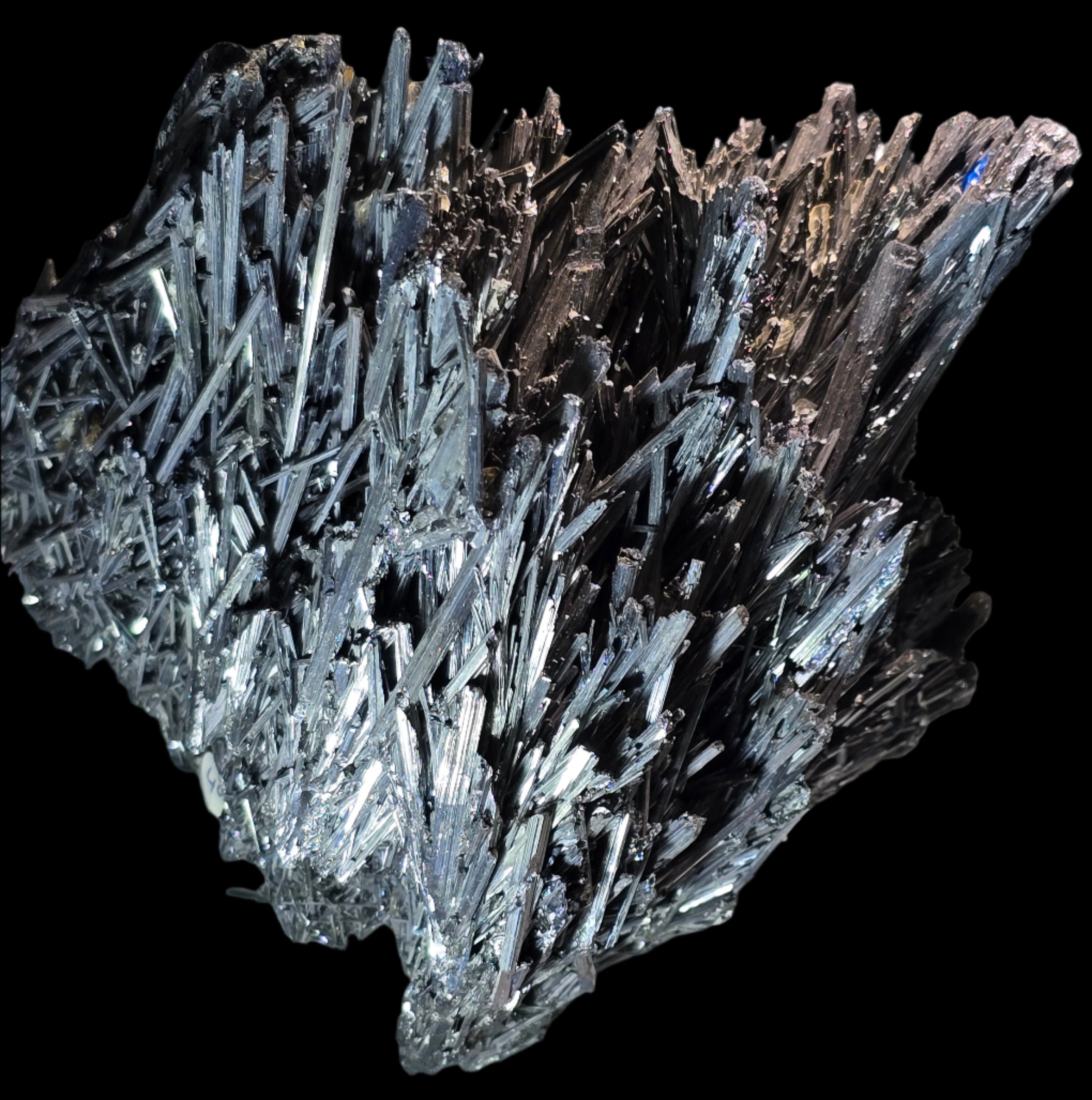 ANTIMONITE-STIBNITE (large cabinet)