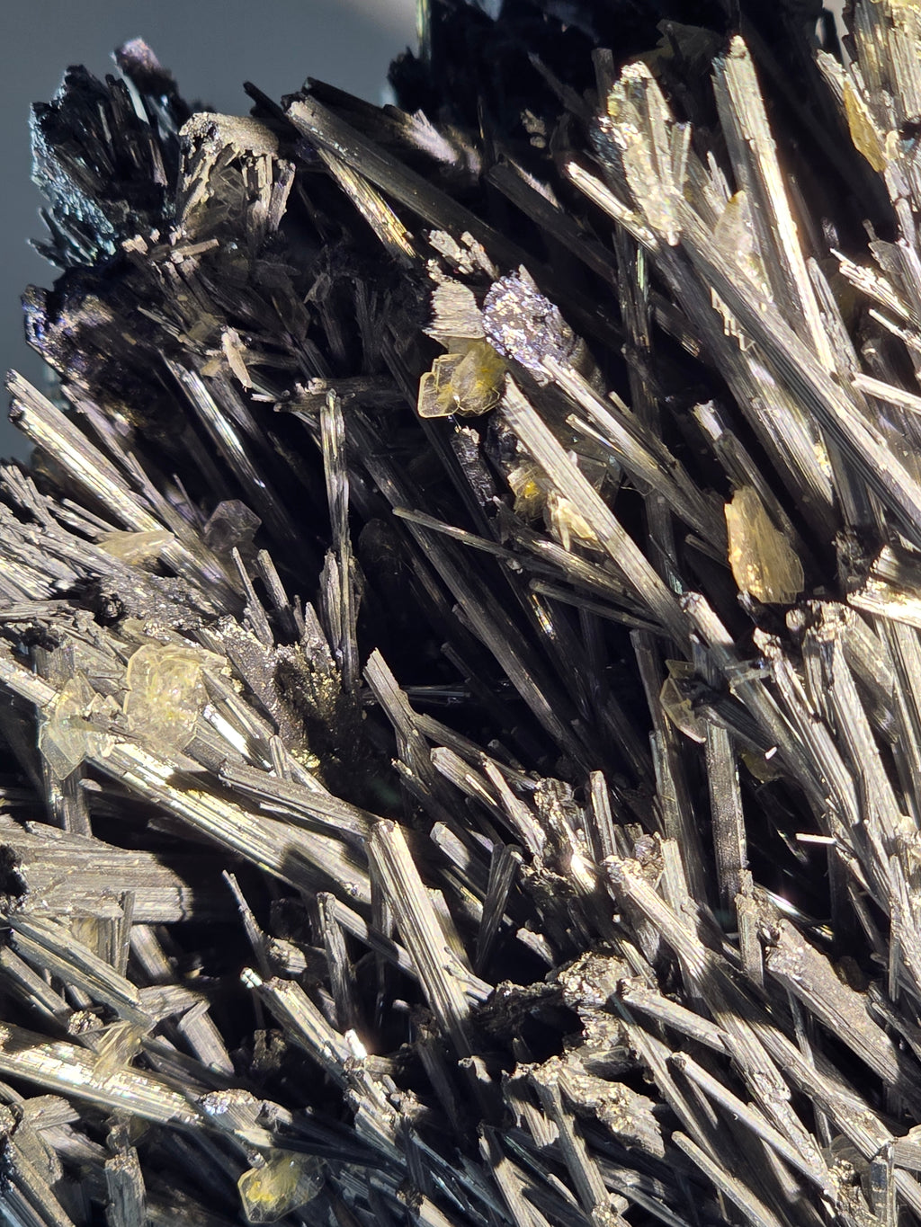 ANTIMONITE-STIBNITE (large cabinet)