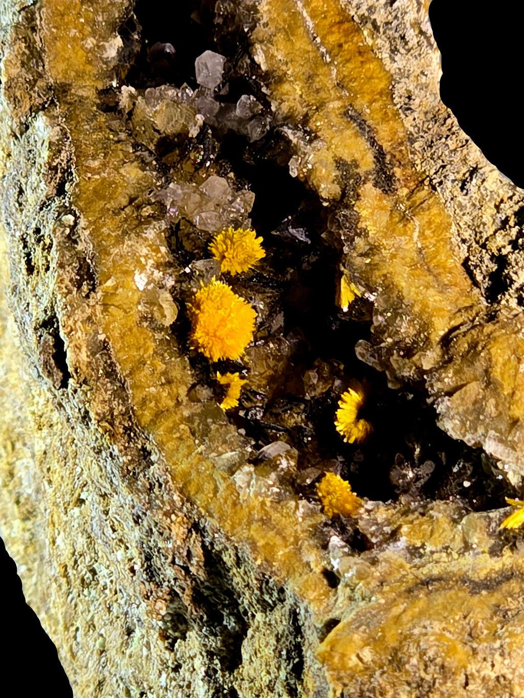 BOLTWOODITE (small cabinet)