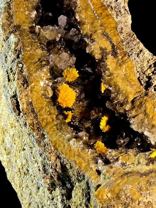 Vibrant yellow sulfur crystals on matrix, showcasing natural mineral formation and geological texture.