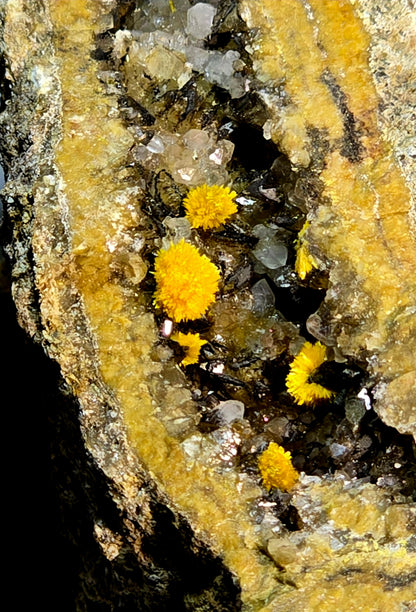 BOLTWOODITE (RADIOACTIVE)