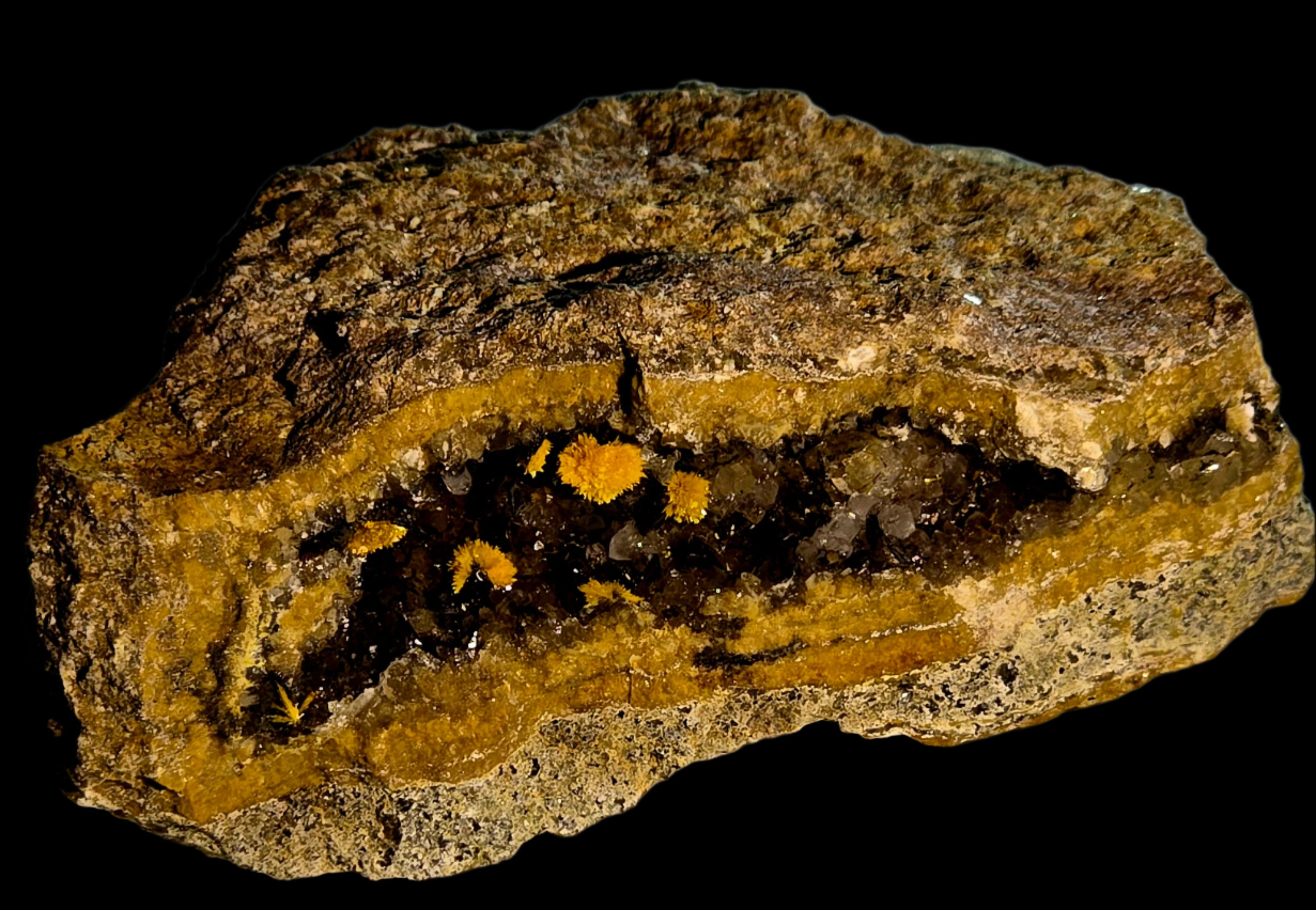 BOLTWOODITE (small cabinet)