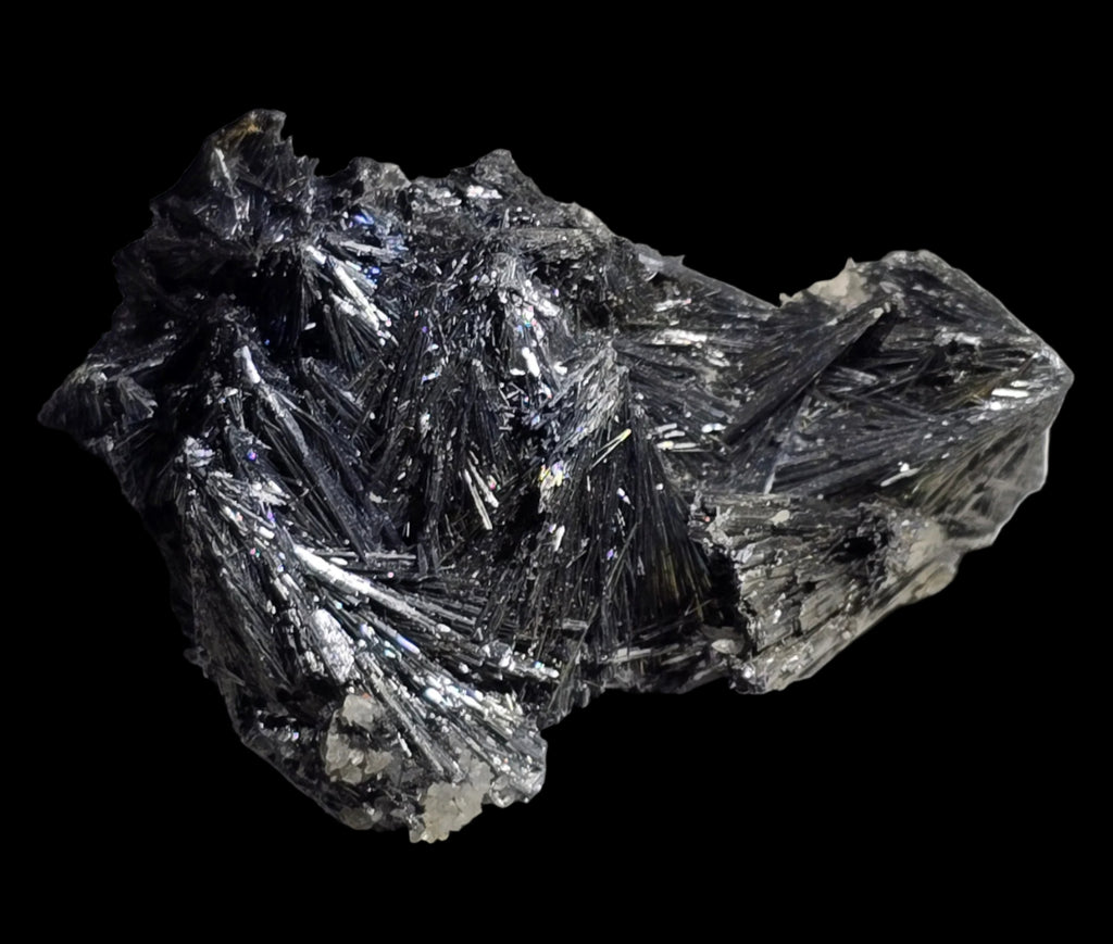 ANTIMONITE-STIBNITE (small cabinet)