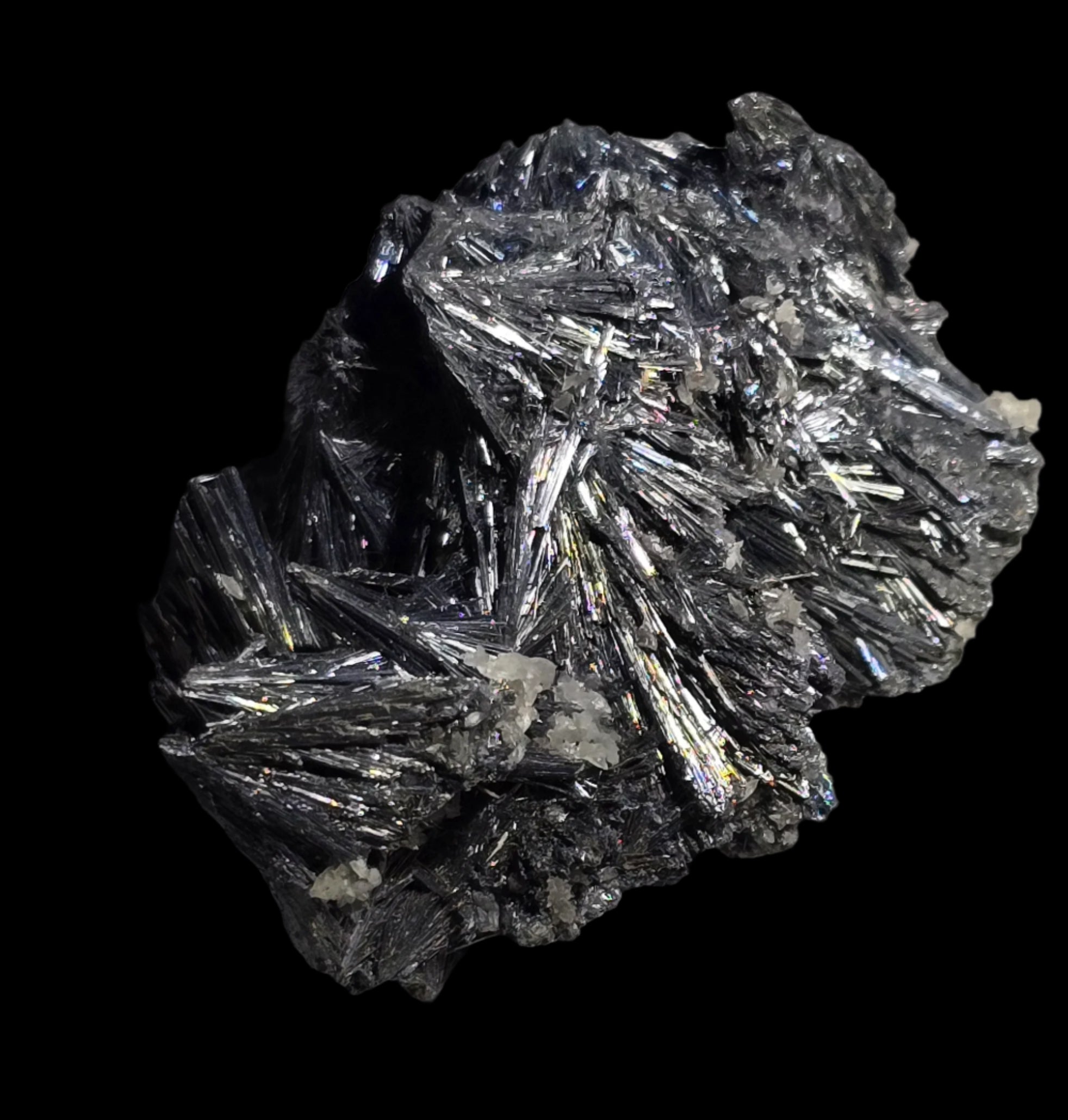 ANTIMONITE-STIBNITE (small cabinet)