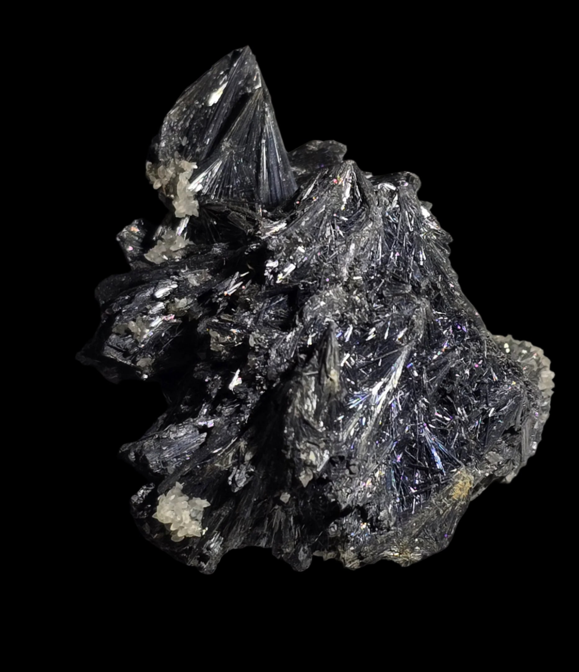 ANTIMONITE-STIBNITE (small cabinet)