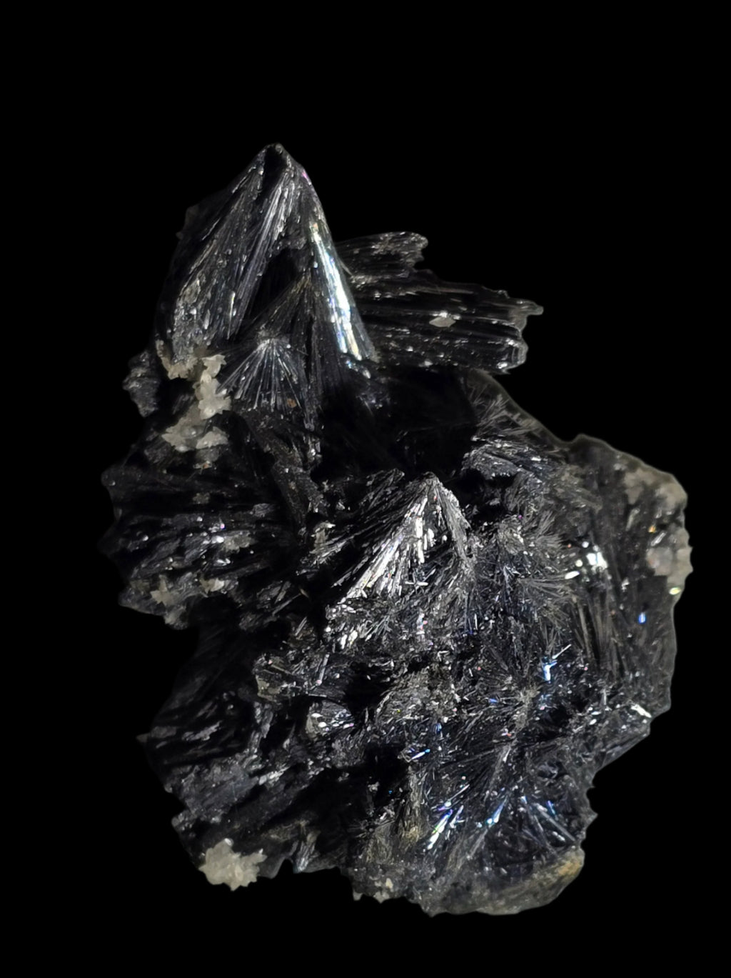 ANTIMONITE-STIBNITE (small cabinet)