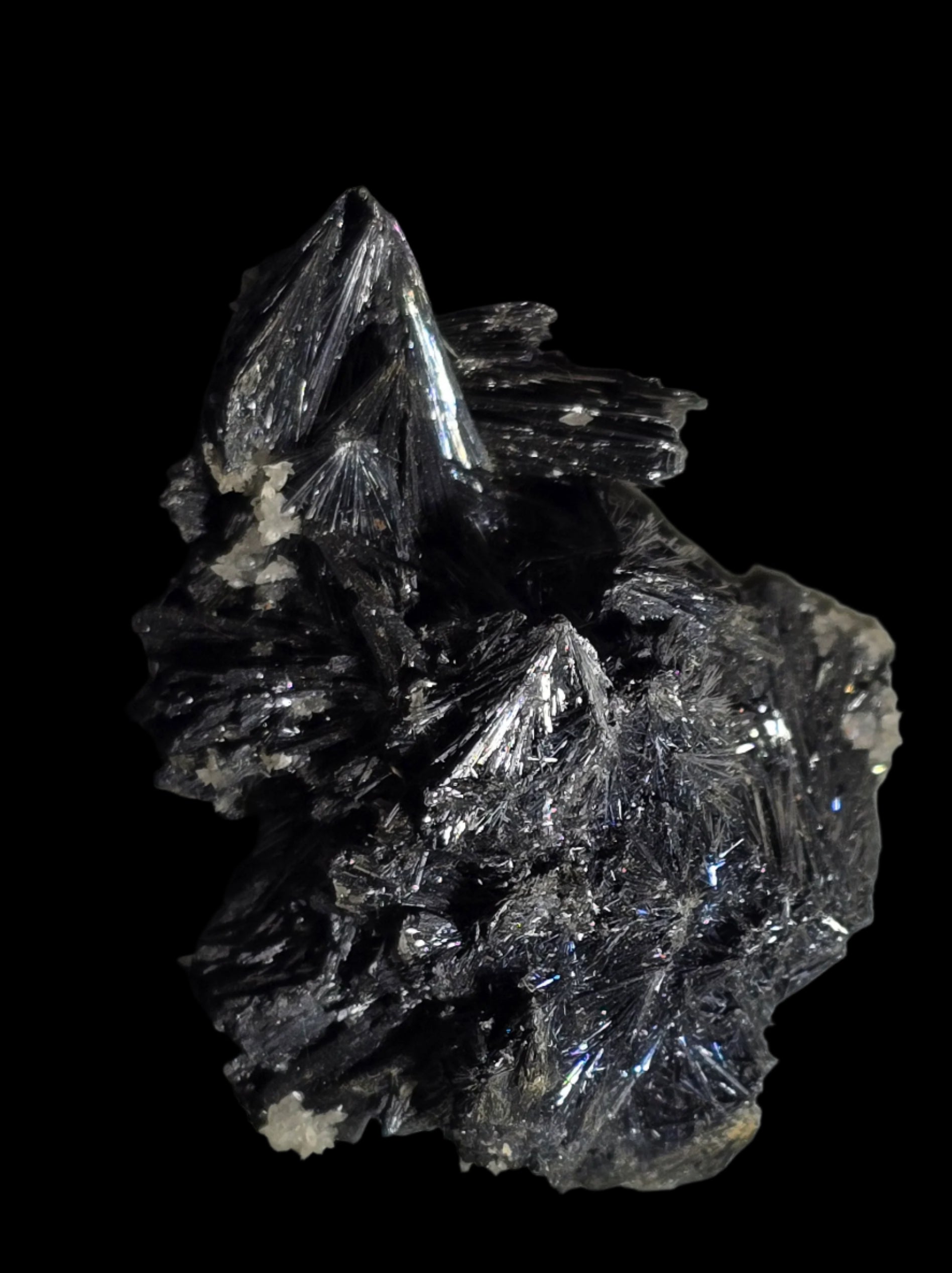 ANTIMONITE-STIBNITE (small cabinet)