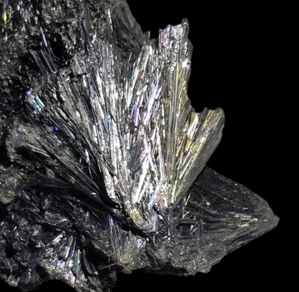 ANTIMONITE-STIBNITE (small cabinet)