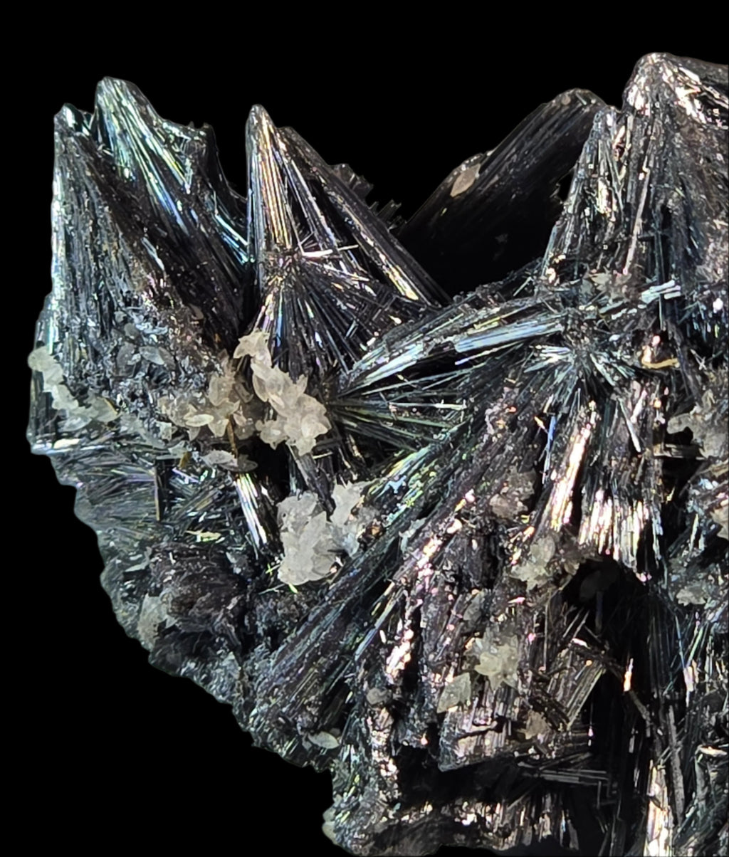 ANTIMONITE-STIBNITE (small cabinet)
