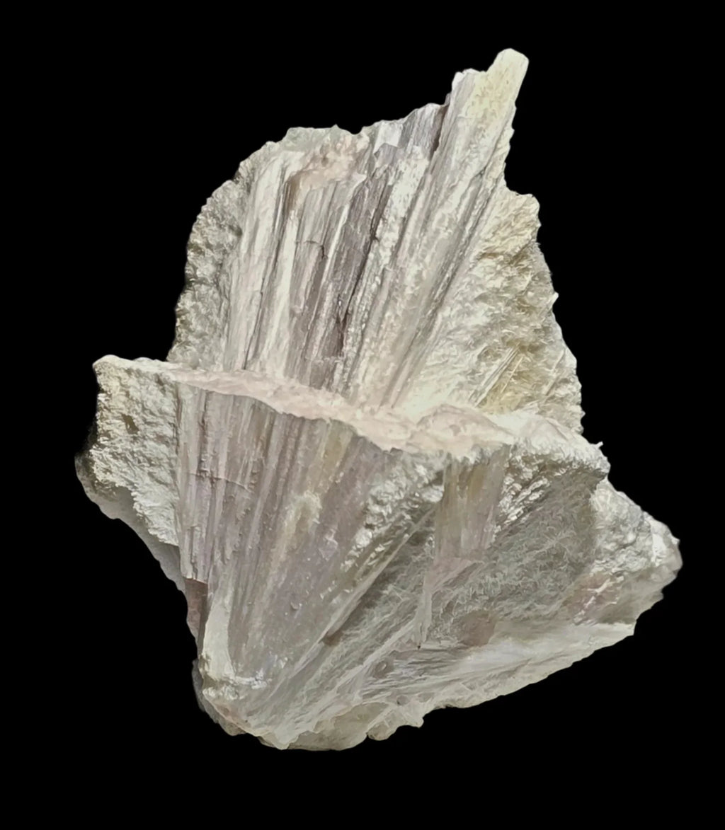 Gypsum Desert Rose crystal specimen with layered, petal-like formations against black background
