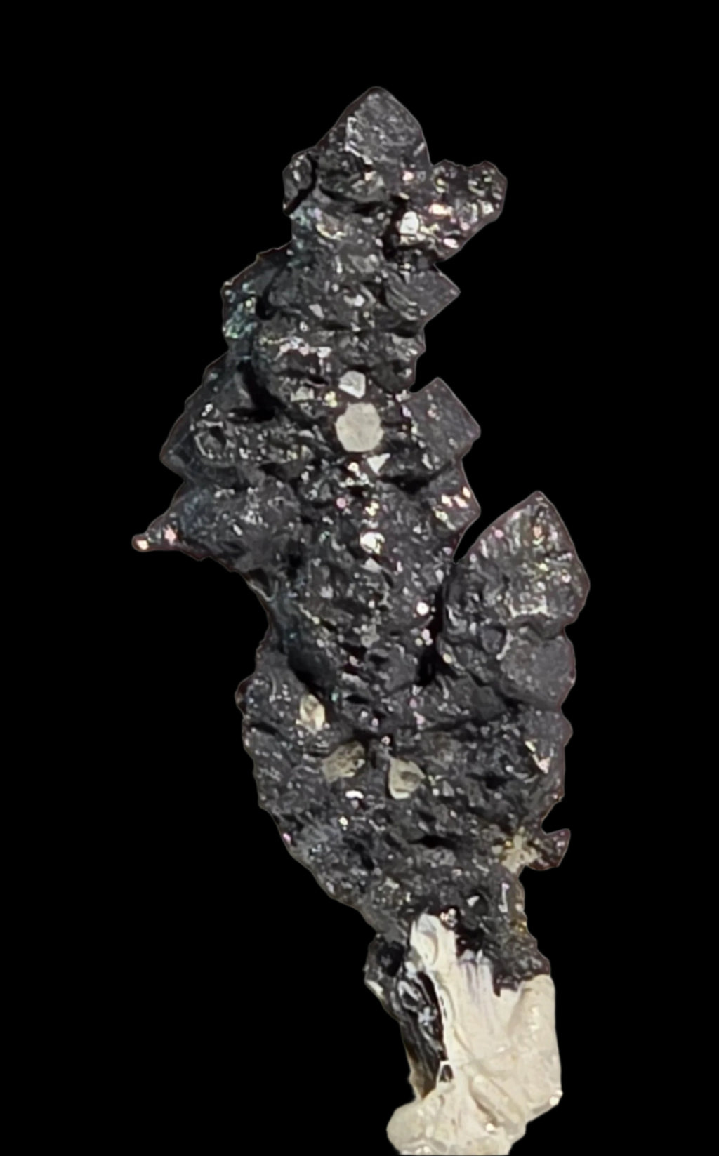ACANTHITE (miniature)