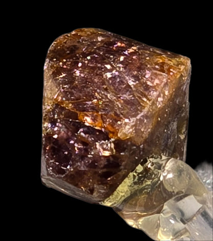 ZIRCON (EUHEDRAL XL)