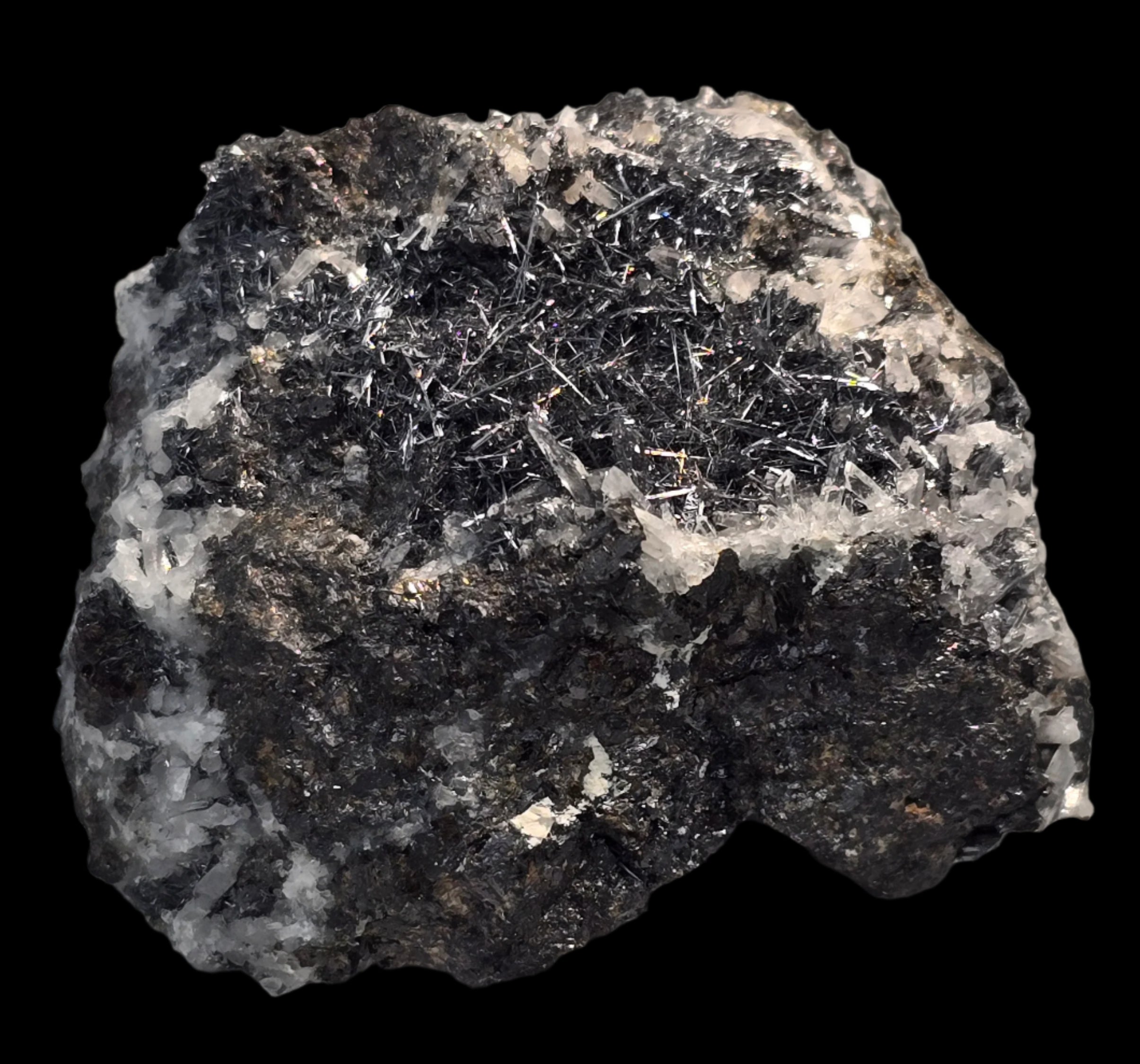 JAMESONITE (small cabinet) domingite, comuccite, pfaffite,axotomous antimony glance