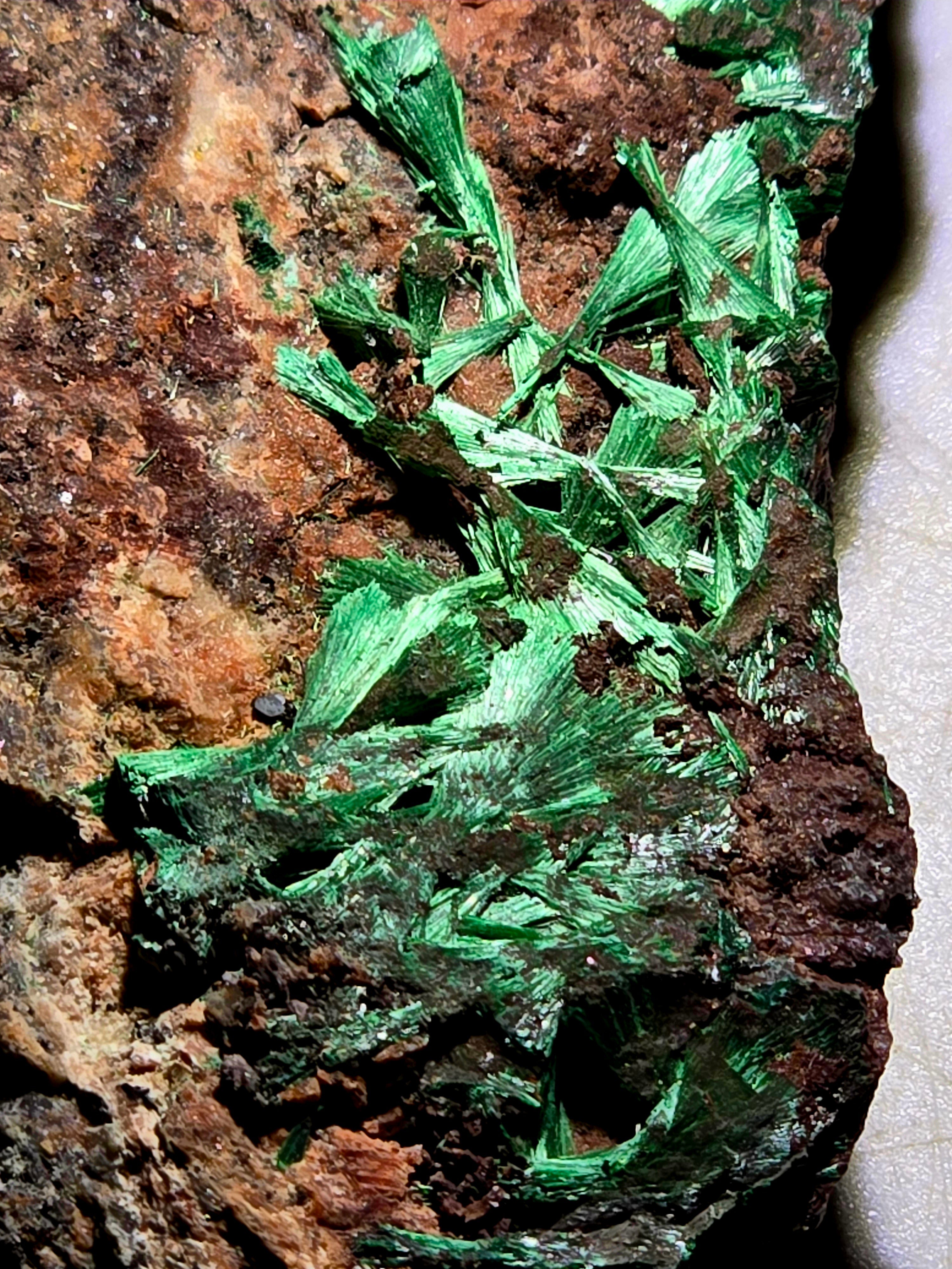 BROCHANTITE (Small cabinet)