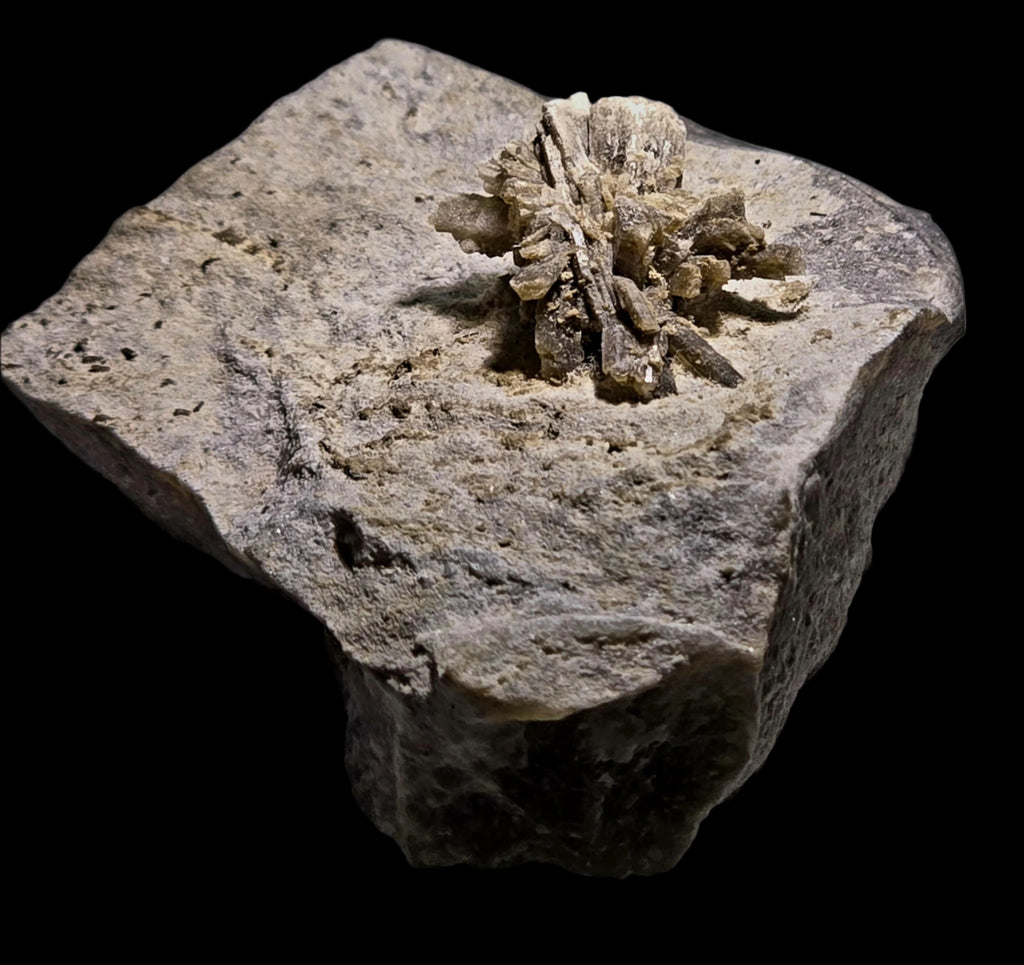 HOWLITE CRYSTALS (extremely rare) on DOLOMITE (miniature)