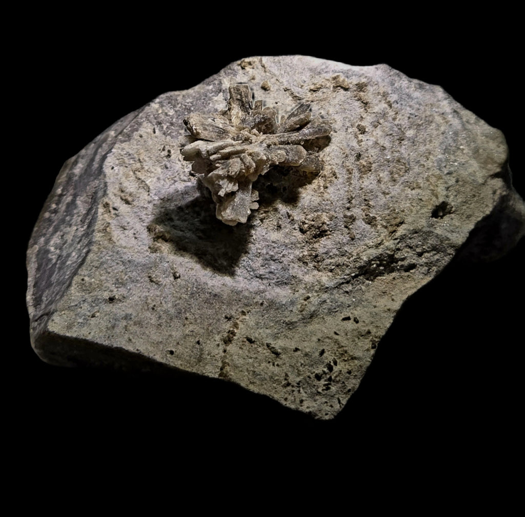 HOWLITE CRYSTALS (extremely rare) on DOLOMITE (miniature)