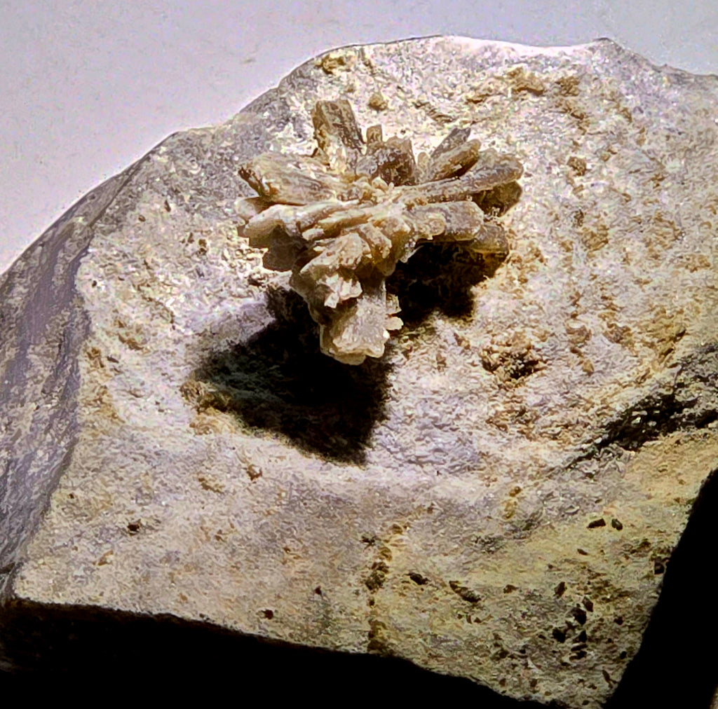 HOWLITE CRYSTALS (extremely rare) on DOLOMITE (miniature)