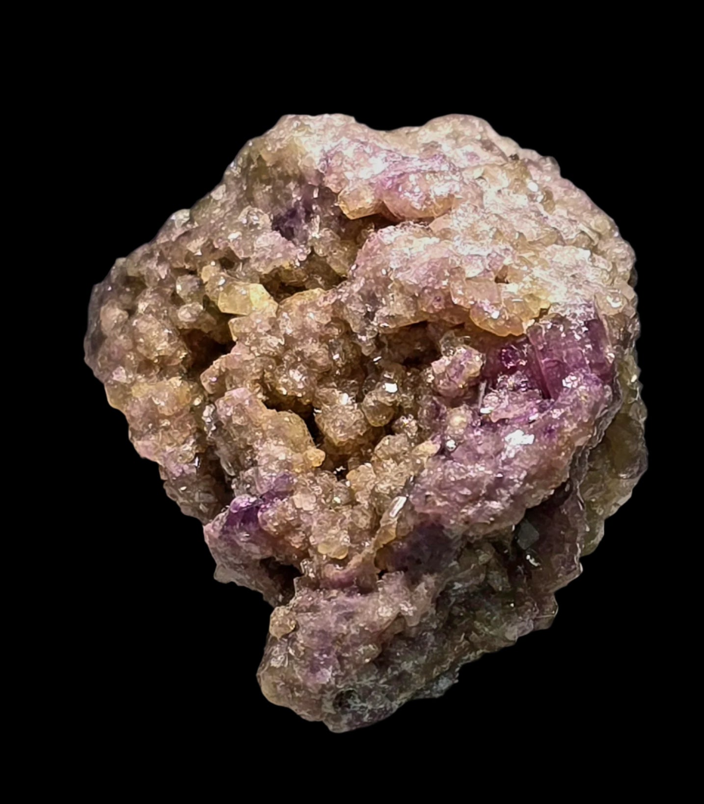 LIZARDITE (miniature) SCYELITE