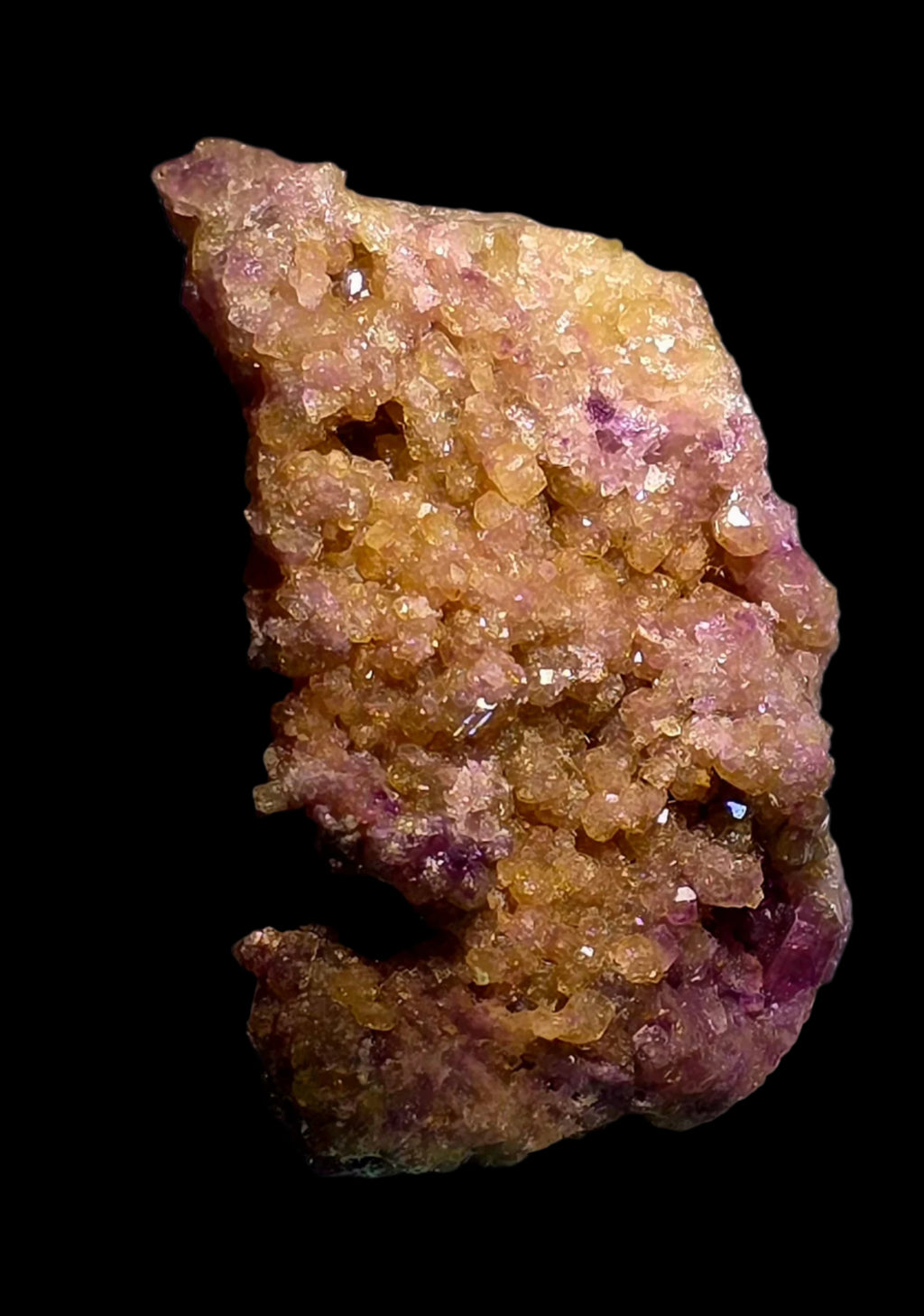 LIZARDITE (miniature) SCYELITE