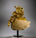 GOLD on QUARTZ ORIENTAL MINE ALLEGHANI SIERRA COUNTY CA USA (miniature)