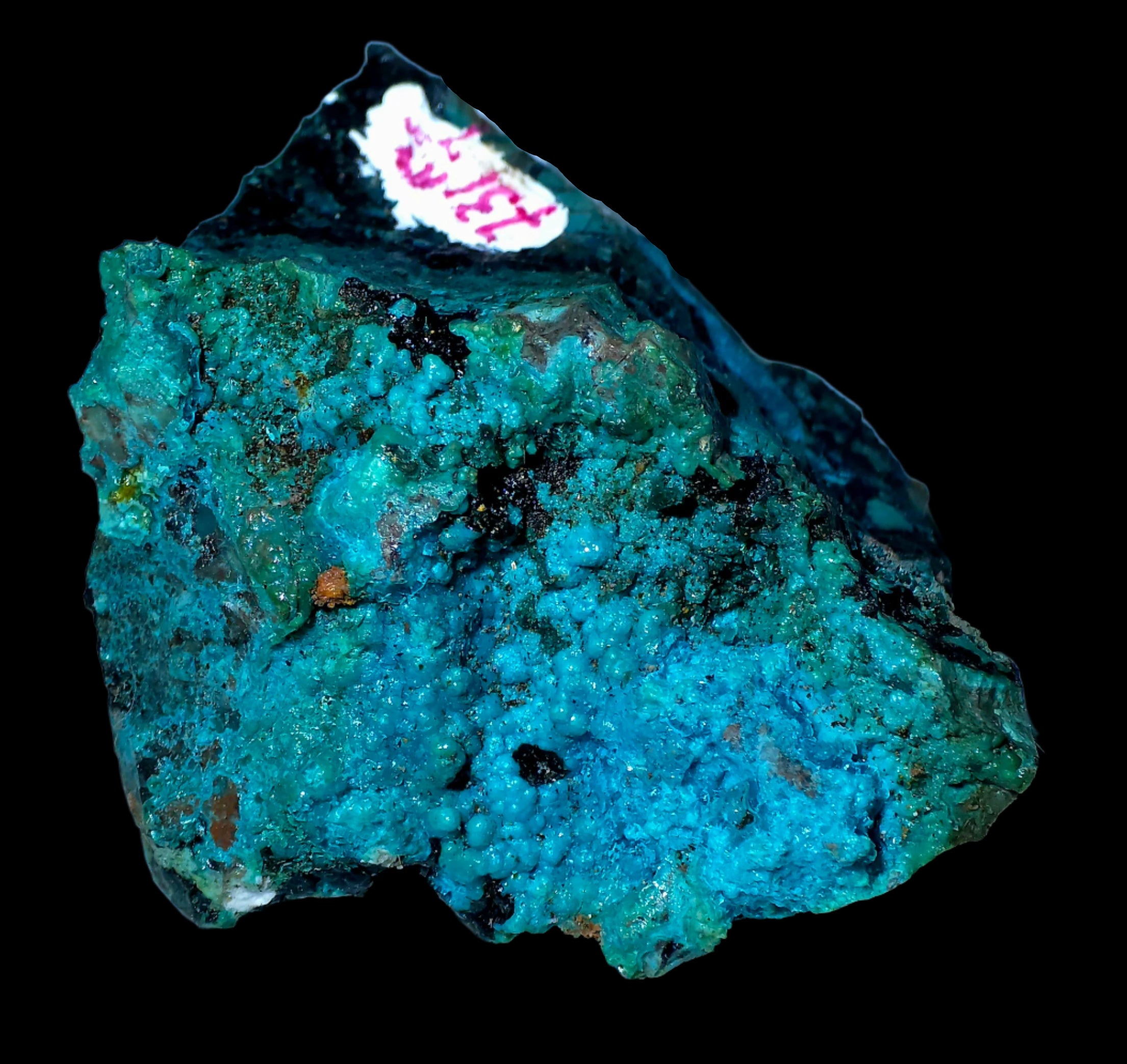 CHRYSOCOLLA  MINIATURE
