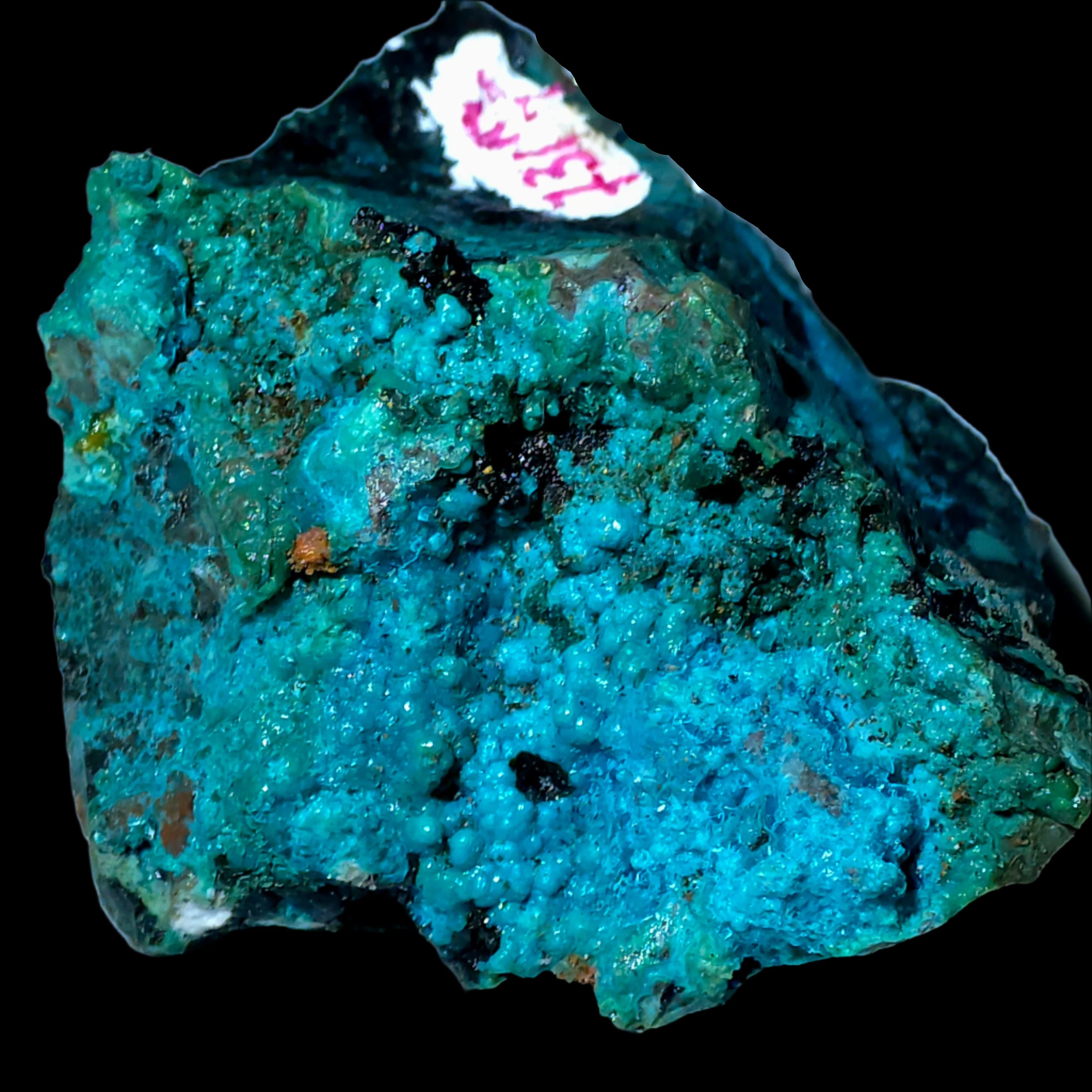 CHRYSOCOLLA  MINIATURE