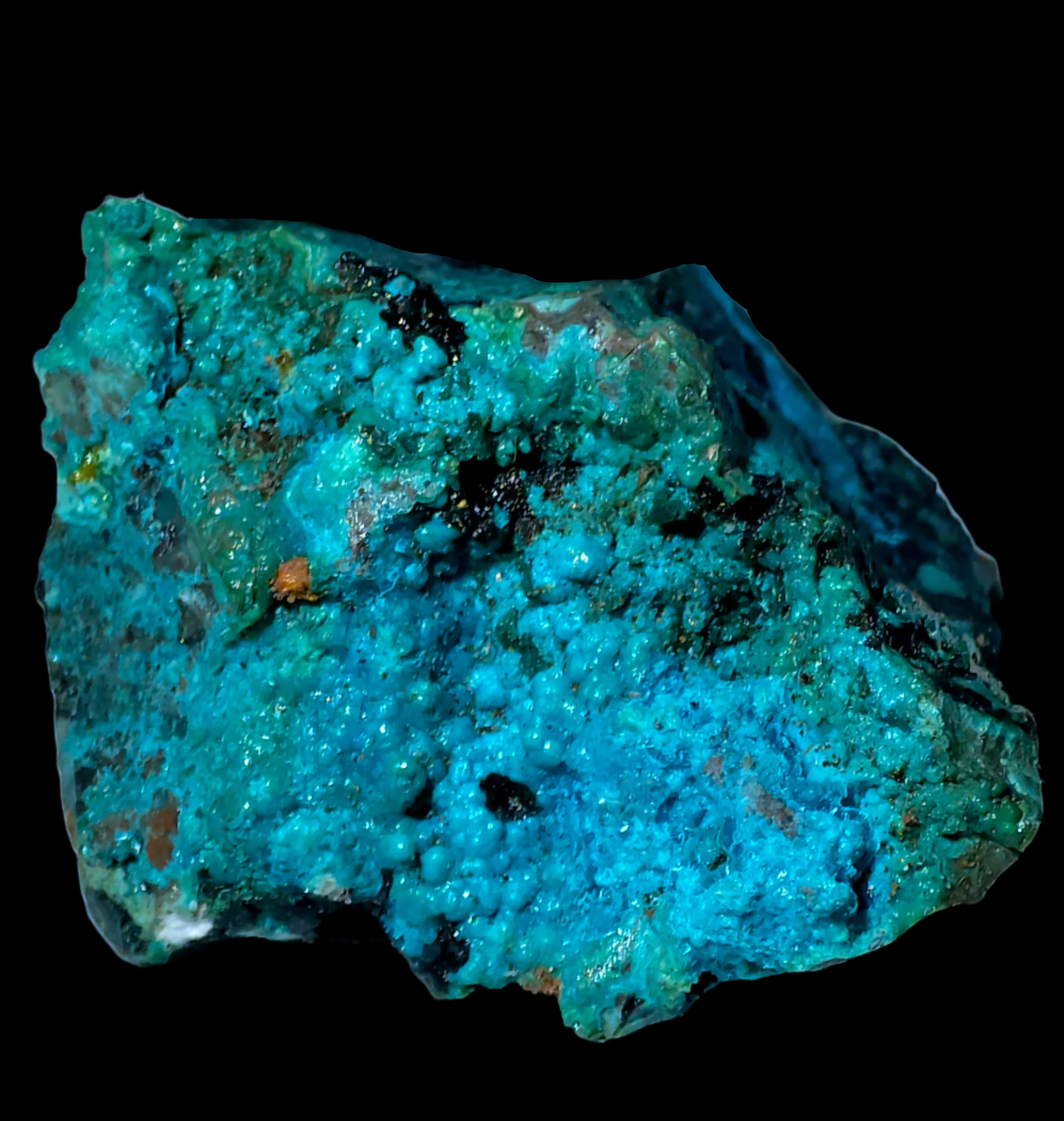 CHRYSOCOLLA  MINIATURE
