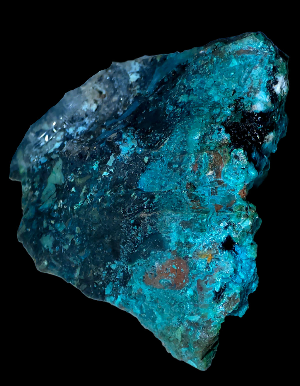 CHRYSOCOLLA  MINIATURE