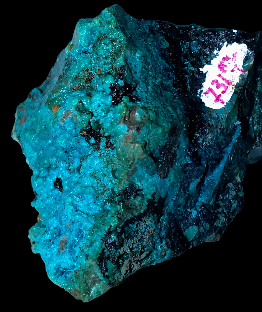 CHRYSOCOLLA  MINIATURE