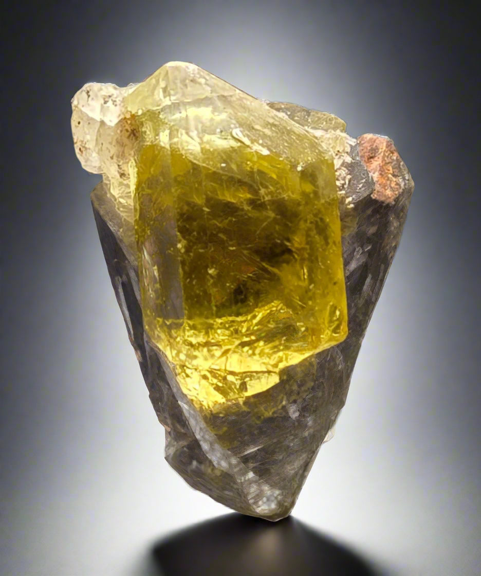 APATITE (TOENAIL)