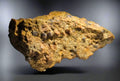 Rutile on Hematite specimen from Brazil, showcasing golden-brown matrix with embedded crystals